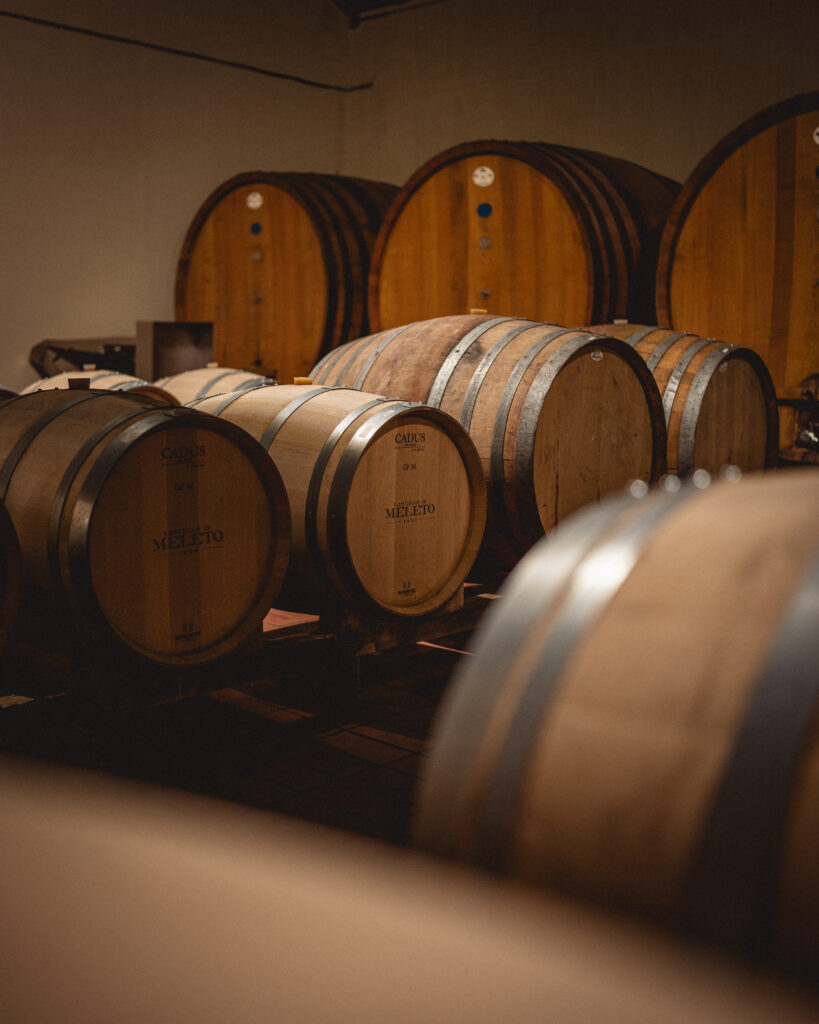 義大利 紅酒 白酒 橘酒 舊世界 美烈托 日嘉 小資